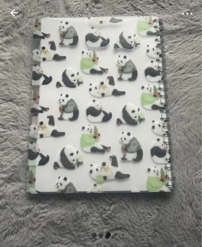 Bloc note spiral panda - photo numéro 4