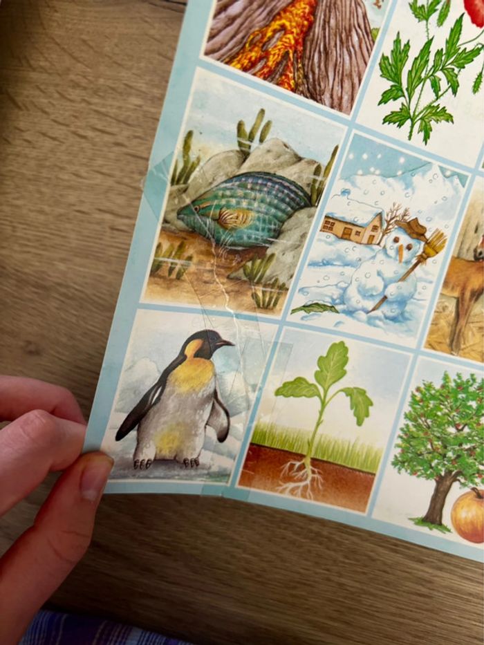 Livre L’Imagerie de la Nature Pour Enfants - photo numéro 12