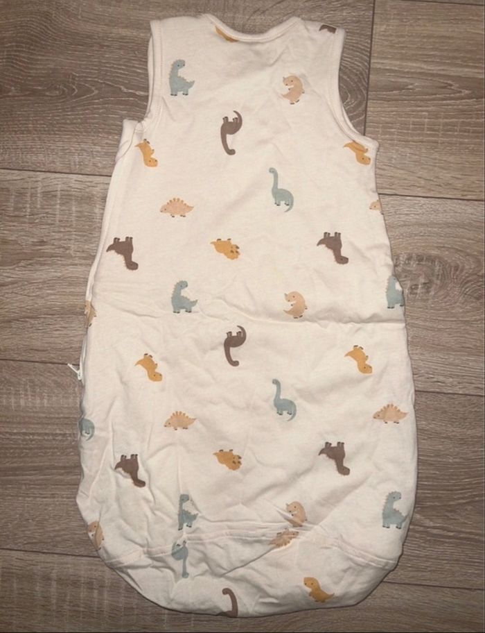 Gigoteuse dinosaures - photo numéro 2