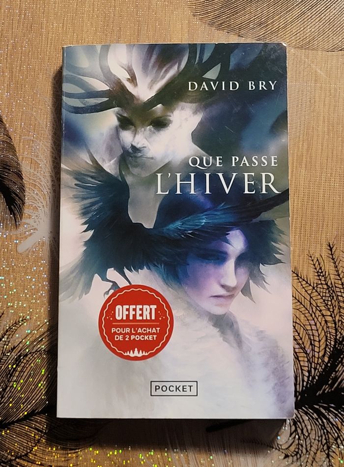 Que passe l'hiver - David Bry - photo numéro 1
