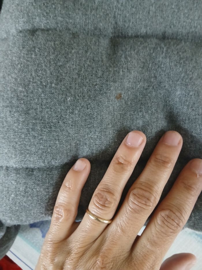 Manteau - photo numéro 3