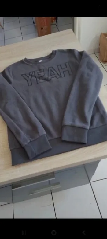 Pull polaire