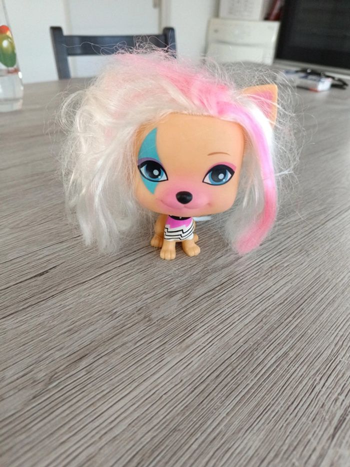 VIP pets - photo numéro 3