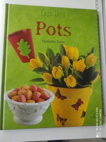 Livre neuf Pots Créa déco