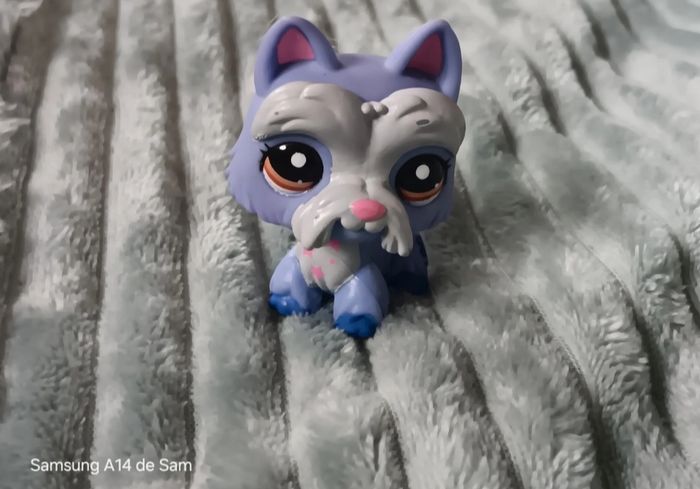 Petshop chien 2260