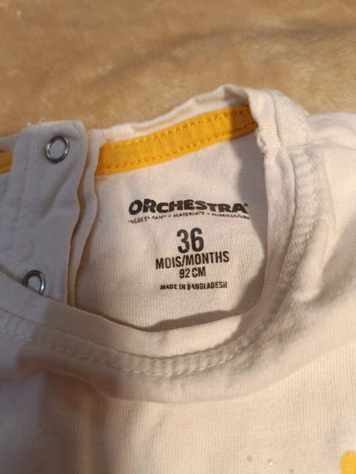 Lot t-shirts manches longues 36 mois - photo numéro 2