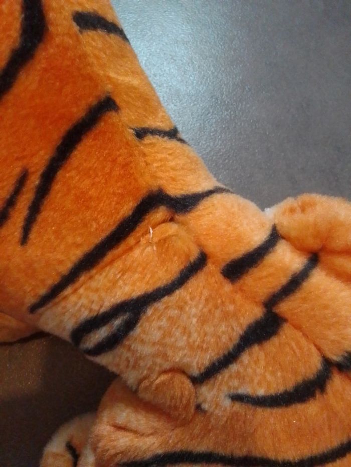 Tigre - photo numéro 5