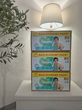 Couches Pampers Harmonie Taille 3