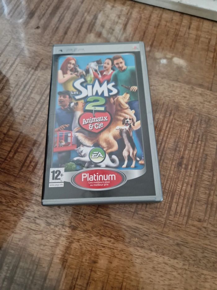Sims 2 psp - photo numéro 1