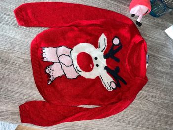 Pull Rennes lumineux