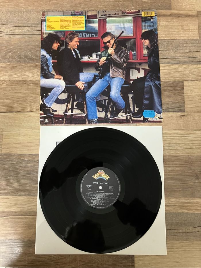 Vinyle 33 tours-David Hallyday-True Cool - photo numéro 2