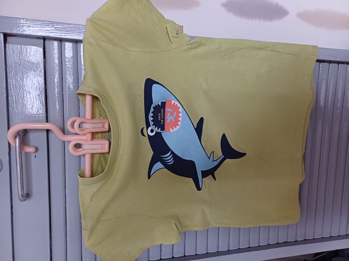 5 tee shirts garçons Taille 5 ans - photo numéro 2