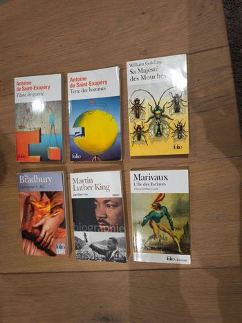 Lot de livres Saint Exupéry, Golding, marivaux