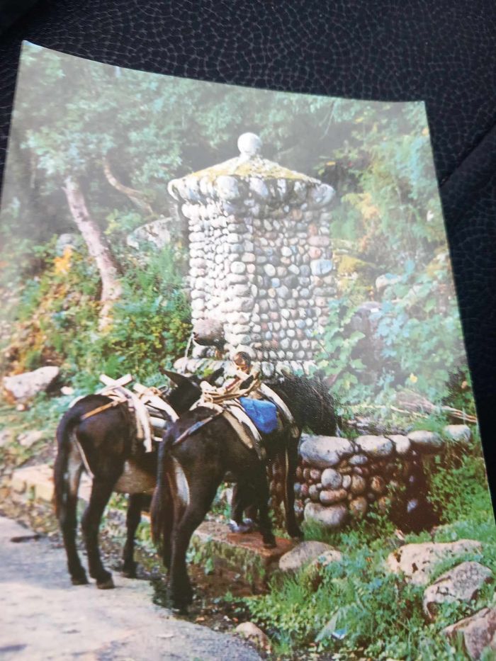 Carte postale d'une fontaine en Corse - photo numéro 2