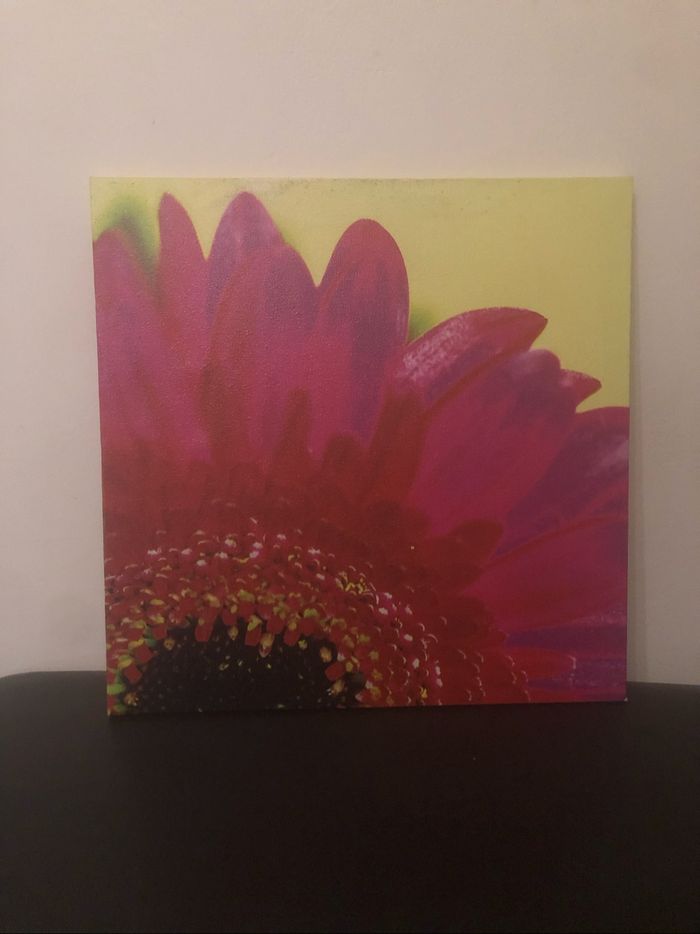 Cadre vert anis et rose fuchsia