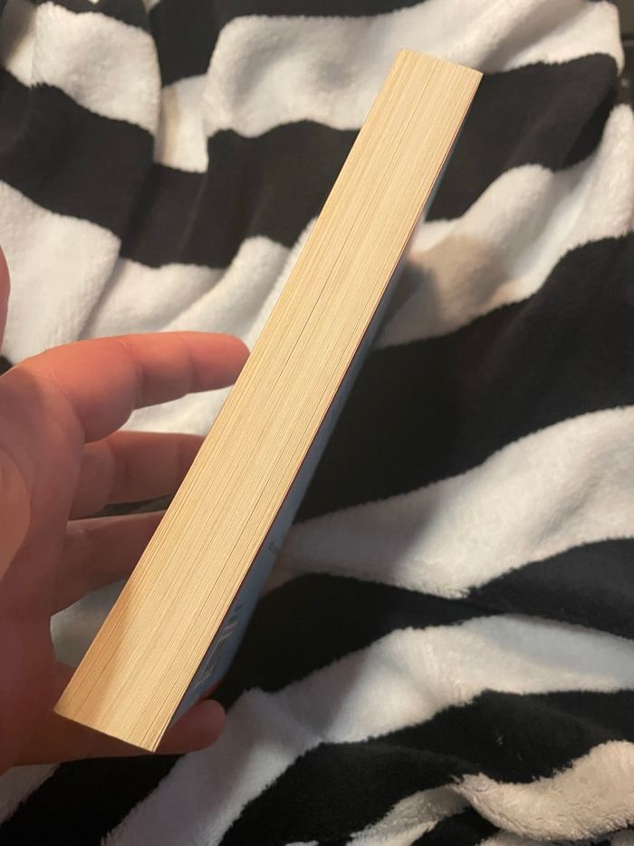 L’horizon a l’envers - photo numéro 5