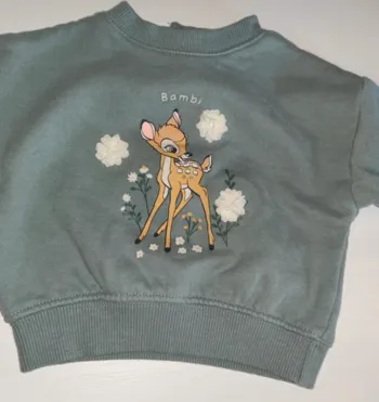 Sweat Disney