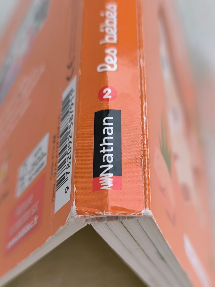 Livre Kididoc Les bébés de la savane Nathan - photo numéro 9