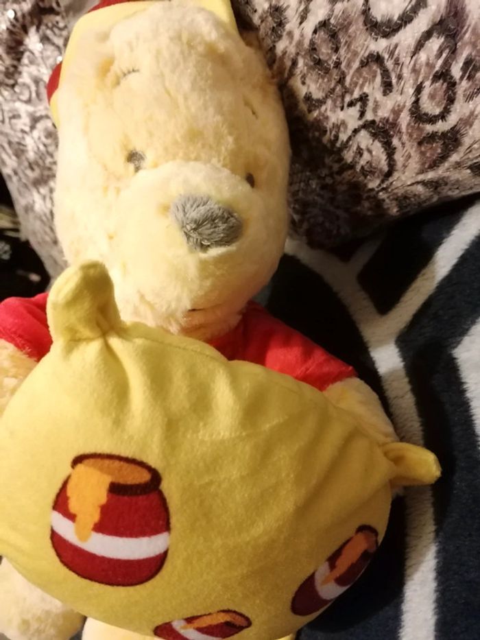 Winnie pooh - photo numéro 6