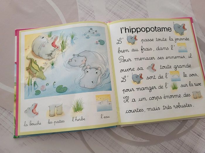 Livre dans la savane - photo numéro 3