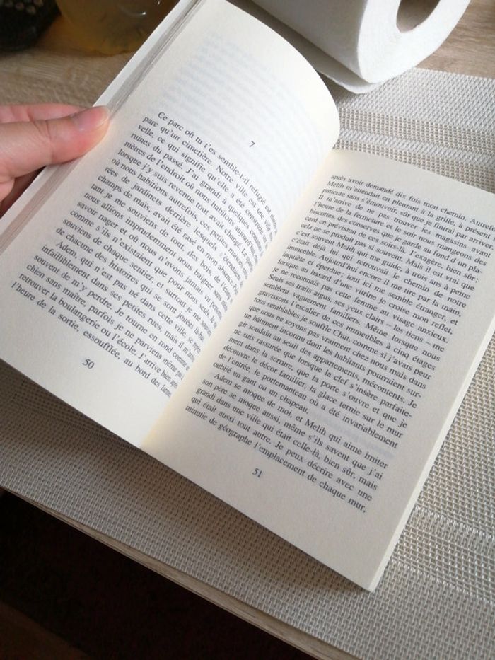 Livre 📖 le ciel des chevaux - photo numéro 3
