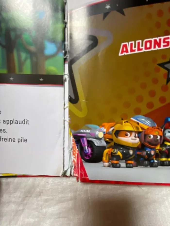 Les bolides de l’extrême – Paw Patrol – Moto Pups – Nickelodeon - photo numéro 8