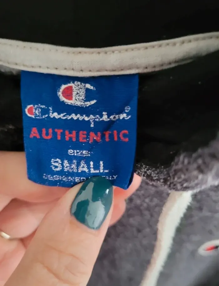 Pull champion - photo numéro 4