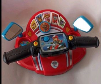 Guidon pat patrouille