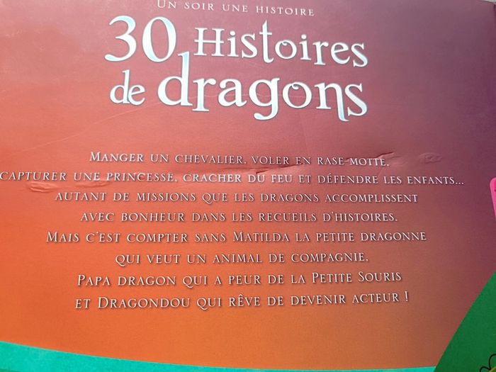 Livre 30 histoires de dragons - photo numéro 6