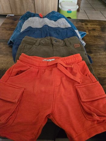 Lot 5 short