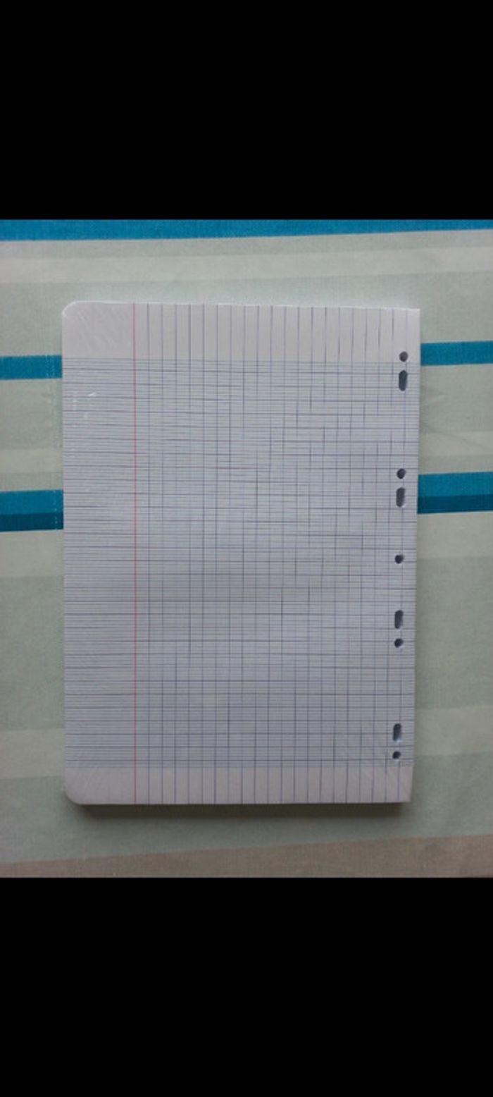 600 feuilles perforées pour classeur - photo numéro 3