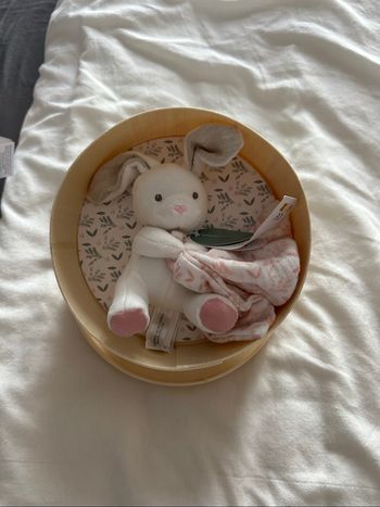 Doudou lapin