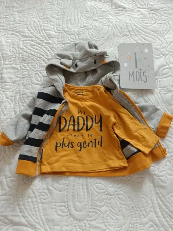 Lot sweat capuche + t-shirt naissance - 1 mois