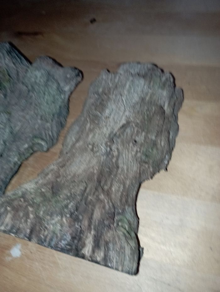 Décoration de terrarium - photo numéro 3