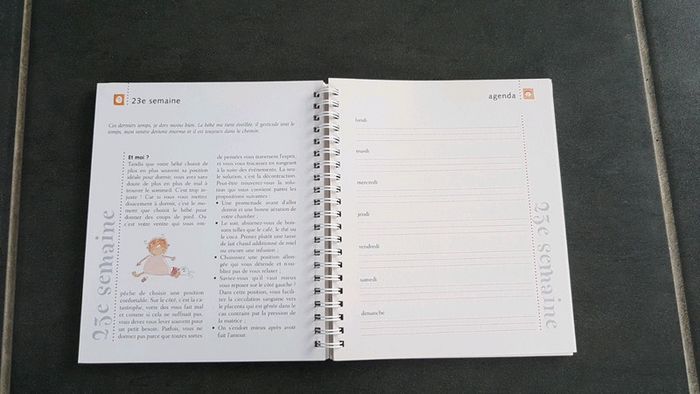 Livre "votre grossesse semaine après semaine" agenda Chantecler - photo numéro 3