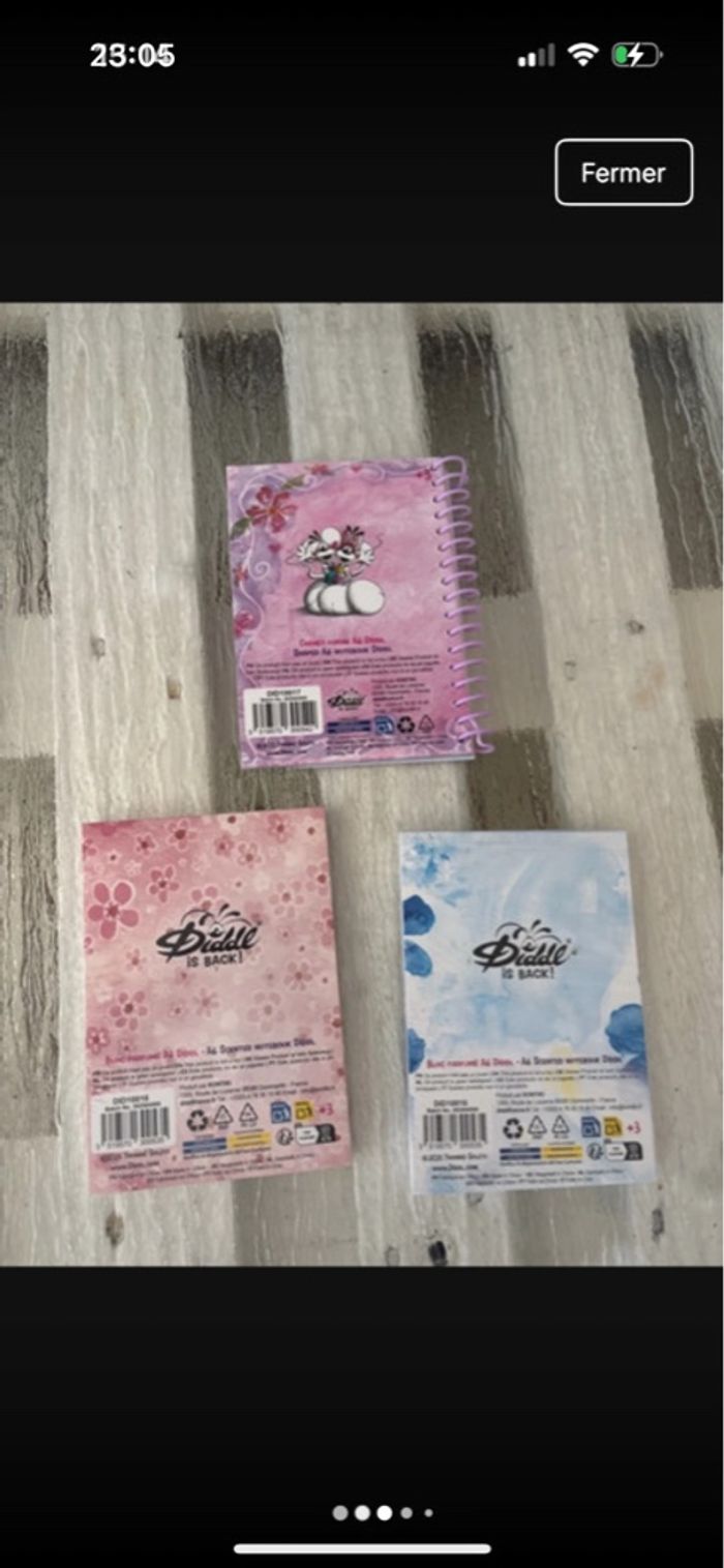 Lot de 2 blocs a6 + 1 carnet spirales diddlina a6 + 1 stylo neuf - photo numéro 4