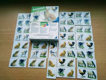 Domino les animaux de la ferme ravensburger 28 pièces