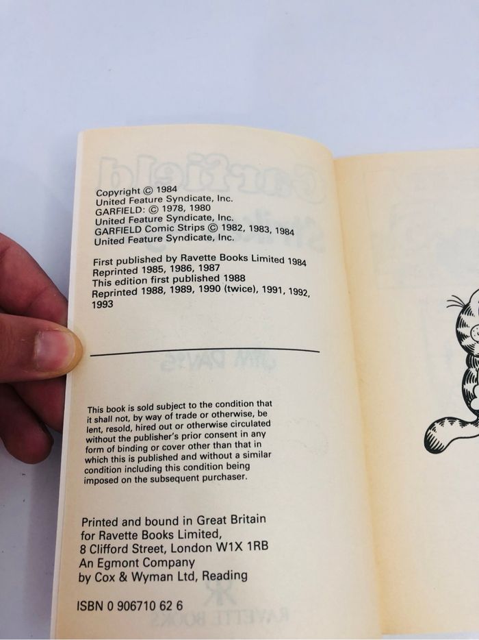 Garfield Strikes Again édition en anglais - photo numéro 4
