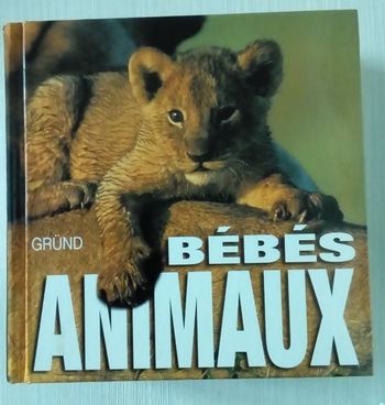 🐆 Gros livre Bébés animaux de Gründ 🐆