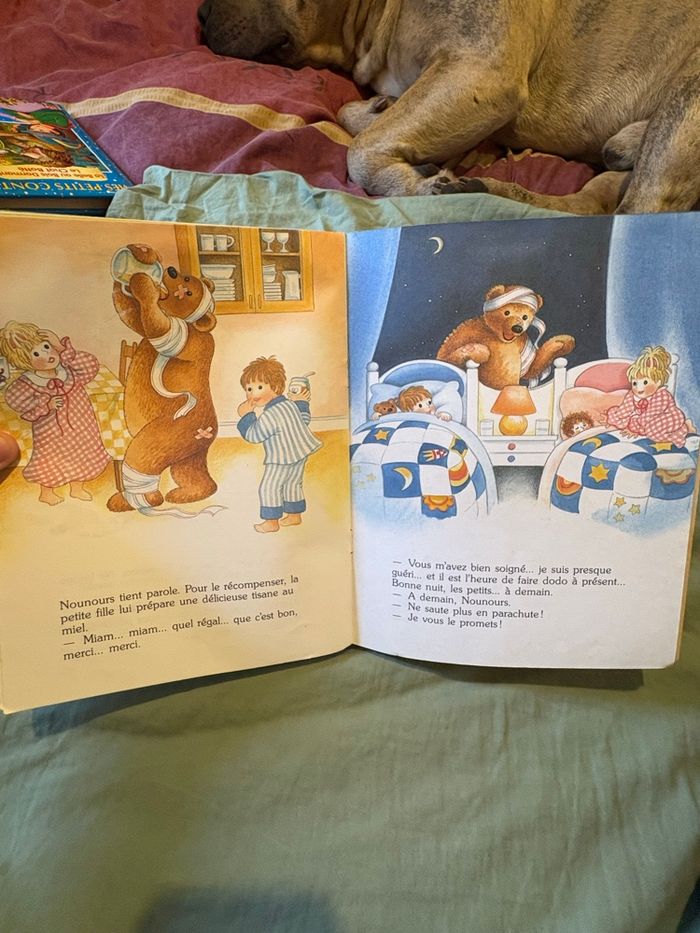 Nounours en parachute - photo numéro 3