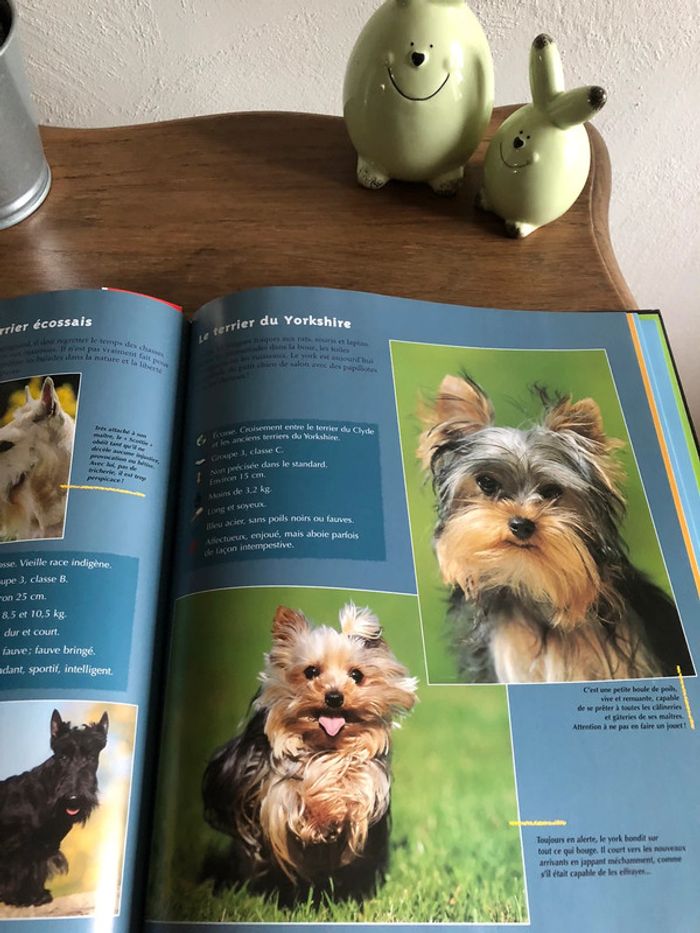 Livre tous les chiens du monde - photo numéro 3