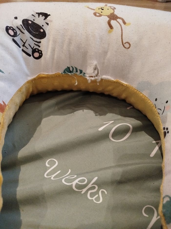 Coussin d'allaitement - photo numéro 3