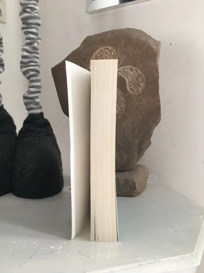 Livre Roman Éternels tome 4 Broché - photo numéro 3