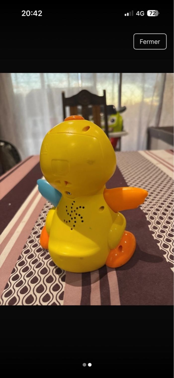 Canard interactif - photo numéro 2