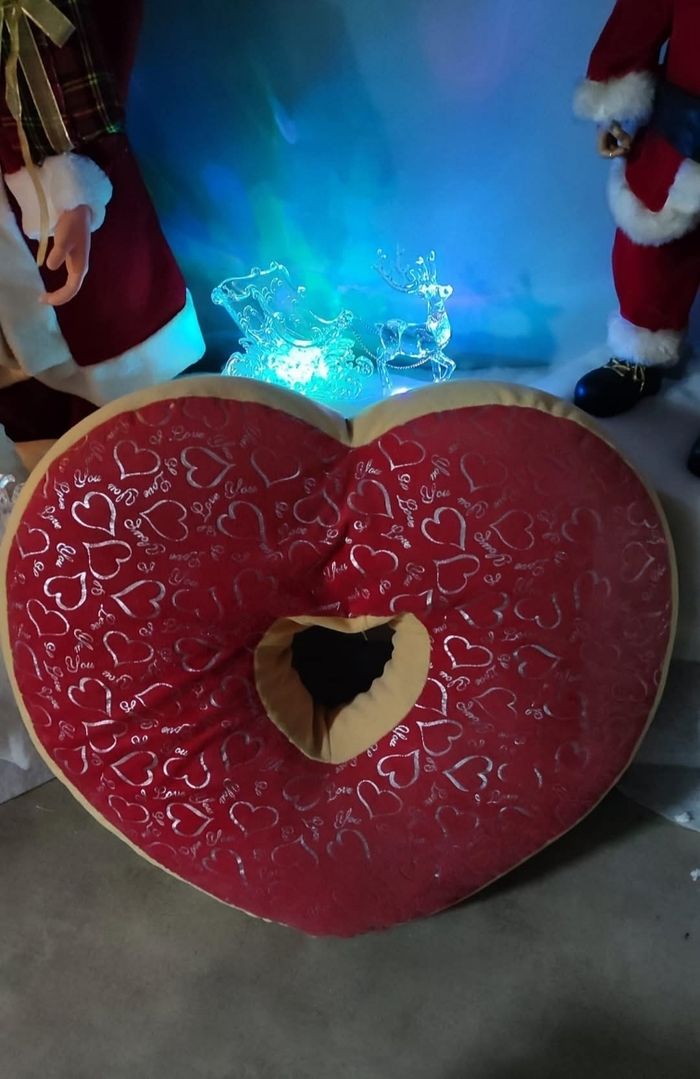 Grand coussin décoratif