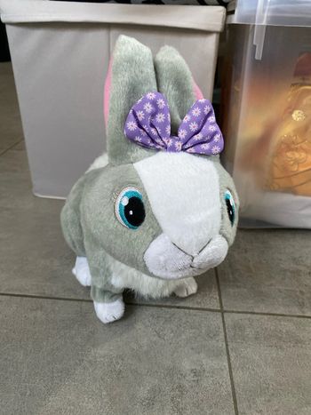 Betsy lapin