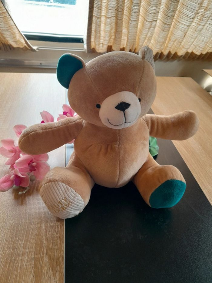 Peluche ours beauty success