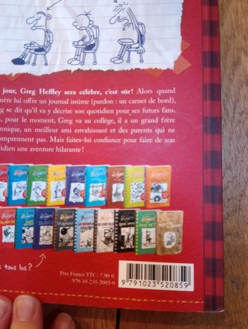 Livre journal d'un dégonflé