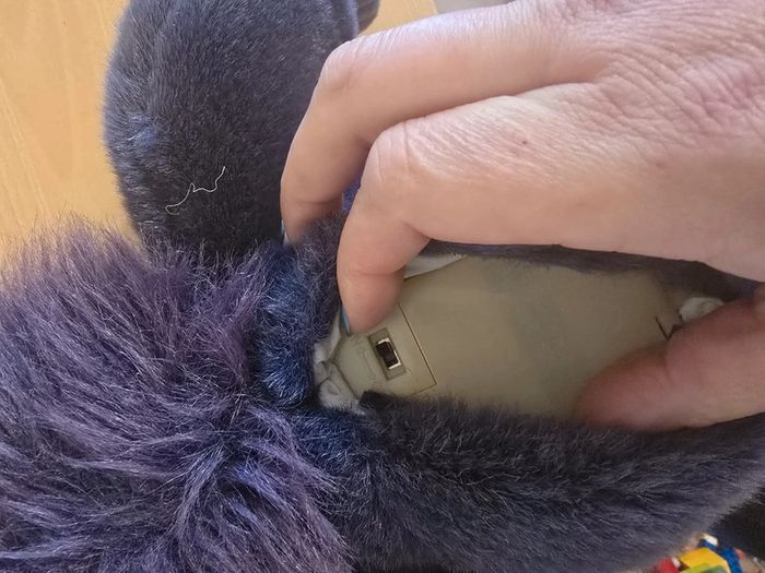 Singe "wiki"livre de la jungle - photo numéro 3