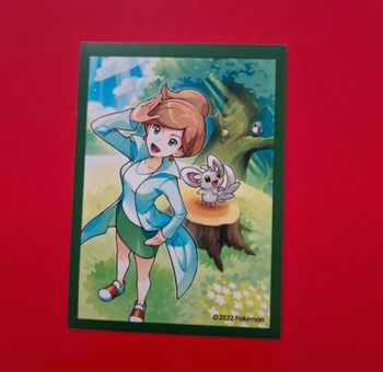 1 sleeve pokemon